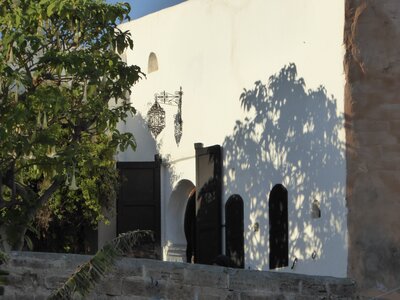Tree and shadow of tree being casted onto white wall, Tangiers Kasbah, Morocco, Africa