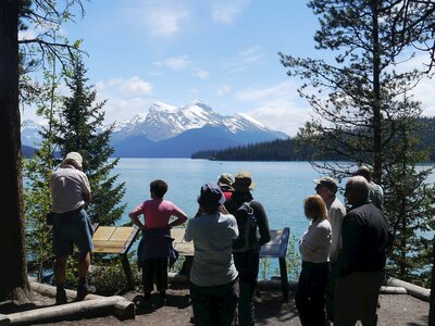 Group of Ramble Worldwide walkers admiring view of Maligne lake and mountain from information point at shore between pine trees, Canada